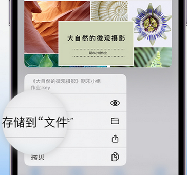 中原镇apple维修中心分享iPhone文件应用中存储和找到下载文件