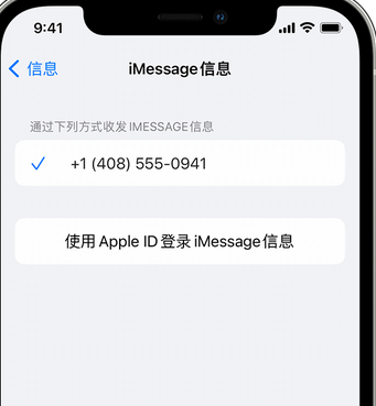 中原镇apple维修iPhone上无法正常发送iMessage信息 