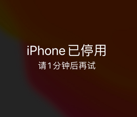 中原镇苹果手机维修分享:iPhone 显示“不可用”或“已停用”怎么办？还能保留数据吗？ 