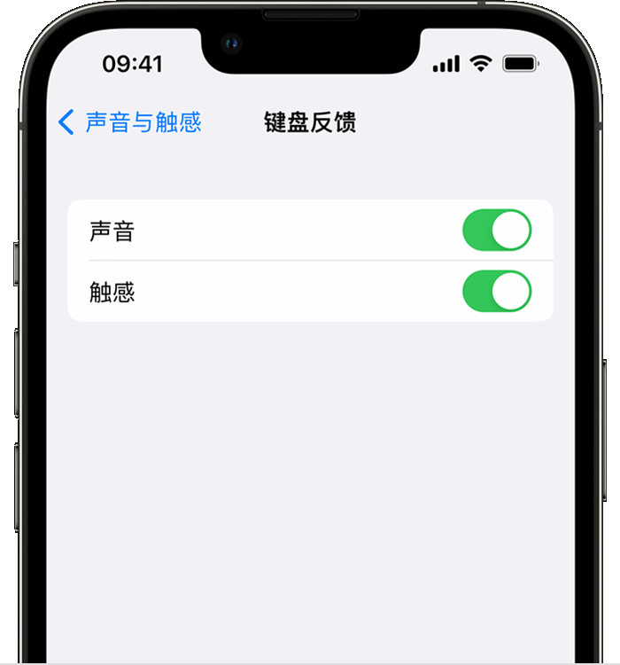 中原镇苹果14维修店分享如何在 iPhone 14 机型中使用触感键盘 