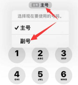 中原镇苹果14维修店分享iPhone 14 Pro Max使用副卡打电话的方法 