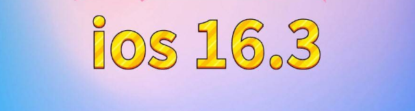 中原镇苹果服务网点分享苹果iOS16.3升级反馈汇总 