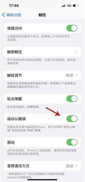 中原镇苹果手机维修分享iPhone手机如何设置摇一摇删除文字 